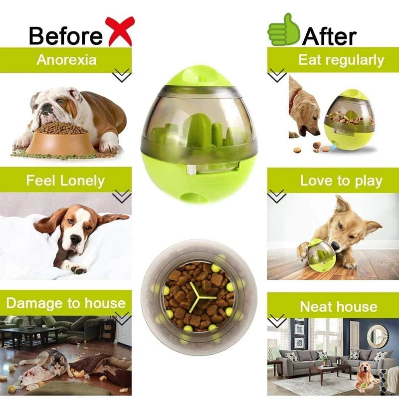 Pet Feeding Supplies
