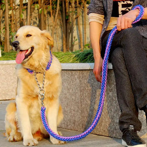Double Strand Rope Large Metal P Chain Buckle National Color Pet Rope Collar Set For Big Dogs