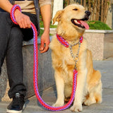 Double Strand Rope Large Metal P Chain Buckle National Color Pet Rope Collar Set For Big Dogs