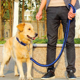 Double Strand Rope Large Metal P Chain Buckle National Color Pet Rope Collar Set For Big Dogs
