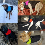 Dog Clothes For Small Medium Large Dogs Winter Coat Jacket Waterproof pet wears