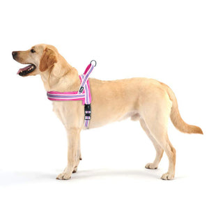 Warm Dog Harness Vest Winter Dog Soft Padded Pet Training Vests Adjustable Bulldog Pug