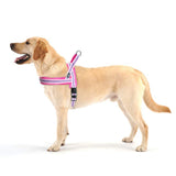 Warm Dog Harness Vest Winter Dog Soft Padded Pet Training Vests Adjustable Bulldog Pug