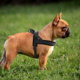 Warm Dog Harness Vest Winter Dog Soft Padded Pet Training Vests Adjustable Bulldog Pug