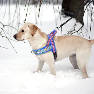 Warm Dog Harness Vest Winter Dog Soft Padded Pet Training Vests Adjustable Bulldog Pug