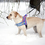 Warm Dog Harness Vest Winter Dog Soft Padded Pet Training Vests Adjustable Bulldog Pug