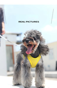 Kimpets Dog Harness Clothes Vest Chest Collars Rope Dogs Reflective Breathable Adjustable Outdoor Pet Supplies