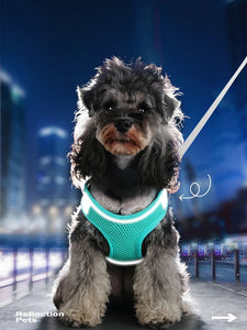 Kimpets Dog Harness Clothes Vest Chest Collars Rope Dogs Reflective Breathable Adjustable Outdoor Pet Supplies