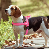 Warm Dog Harness Vest Winter Dog Soft Padded Pet Training Vests Adjustable Bulldog Pug
