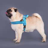 Warm Dog Harness Vest Winter Dog Soft Padded Pet Training Vests Adjustable Bulldog Pug