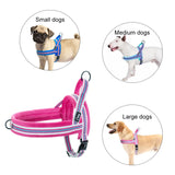 Warm Dog Harness Vest Winter Dog Soft Padded Pet Training Vests Adjustable Bulldog Pug