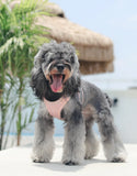 Kimpets Dog Harness Clothes Vest Chest Collars Rope Dogs Reflective Breathable Adjustable Outdoor Pet Supplies