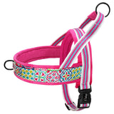 Warm Dog Harness Vest Winter Dog Soft Padded Pet Training Vests Adjustable Bulldog Pug