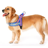 Warm Dog Harness Vest Winter Dog Soft Padded Pet Training Vests Adjustable Bulldog Pug